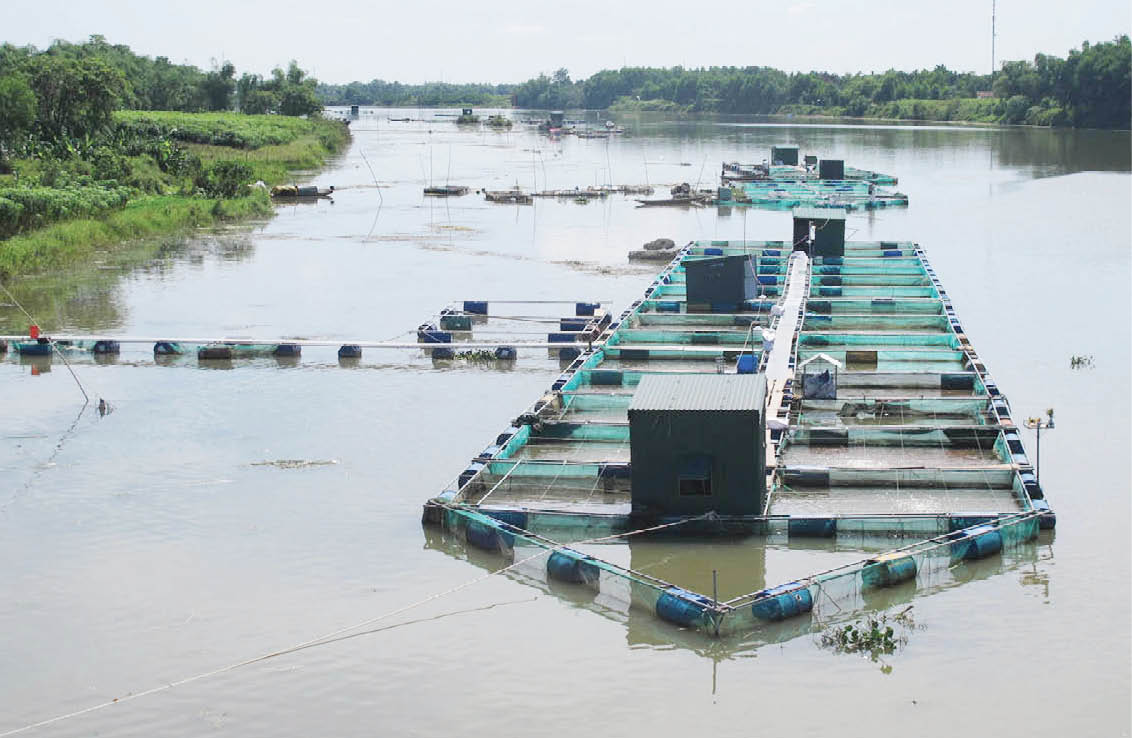 Tạo hành lang pháp lý bảo vệ di sản thiên nhiên