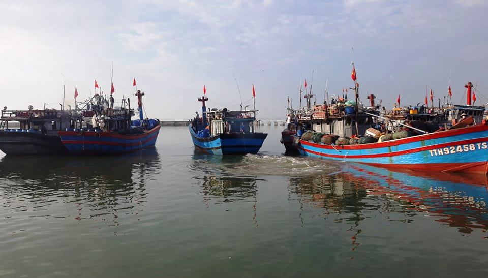 45 tàu công suất lớn đánh bắt xa bờ ra khơi