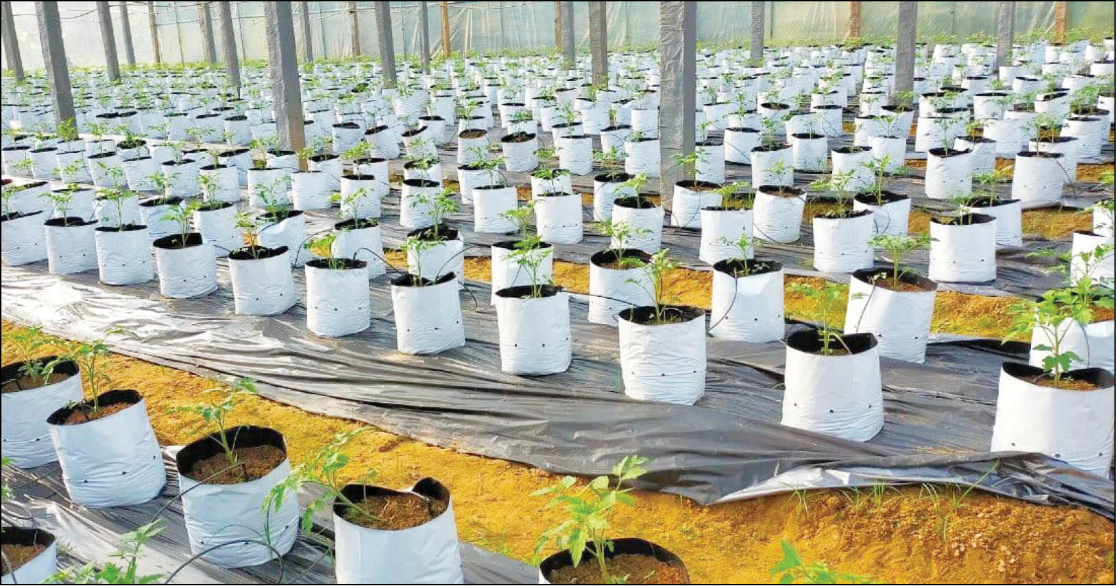 Trở lực của kinh tế hợp tác xã