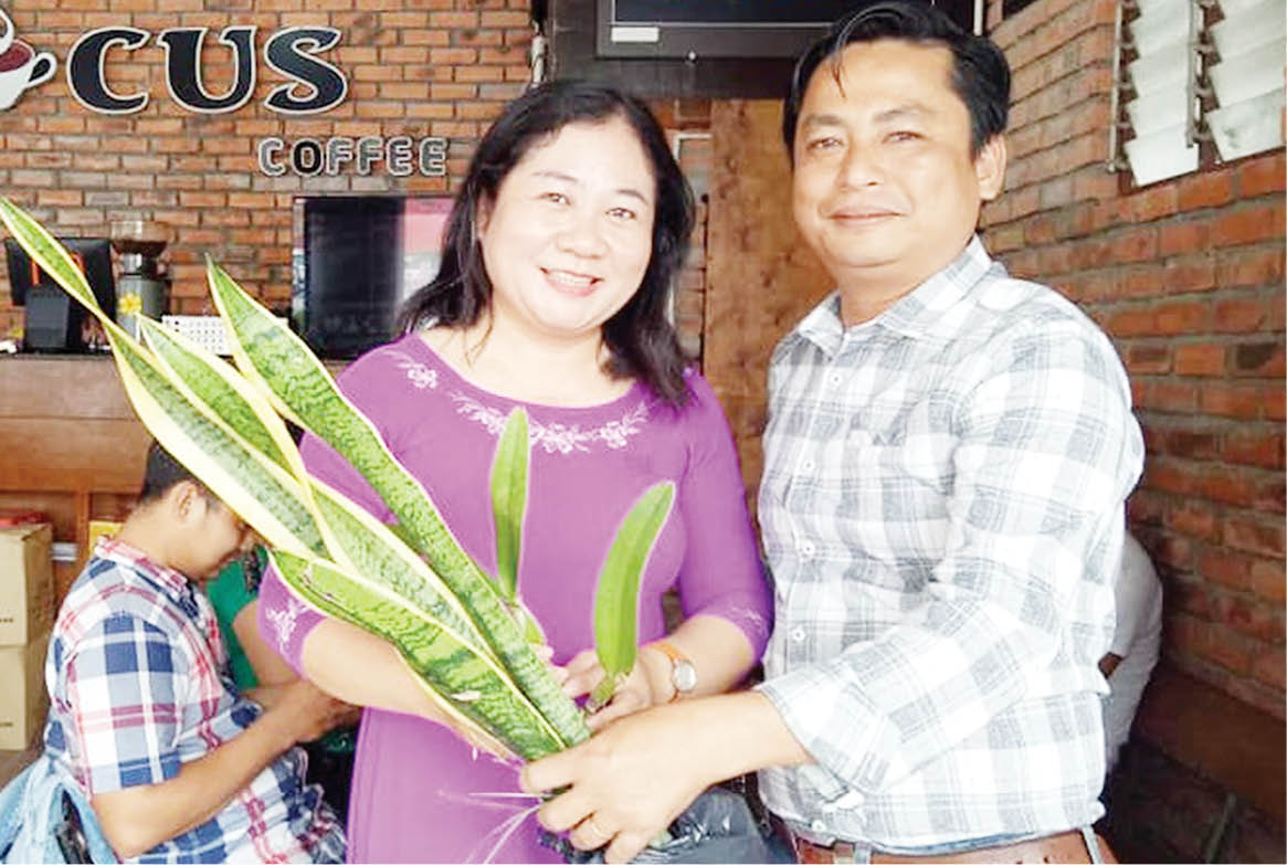 Sẻ chia mầm xanh