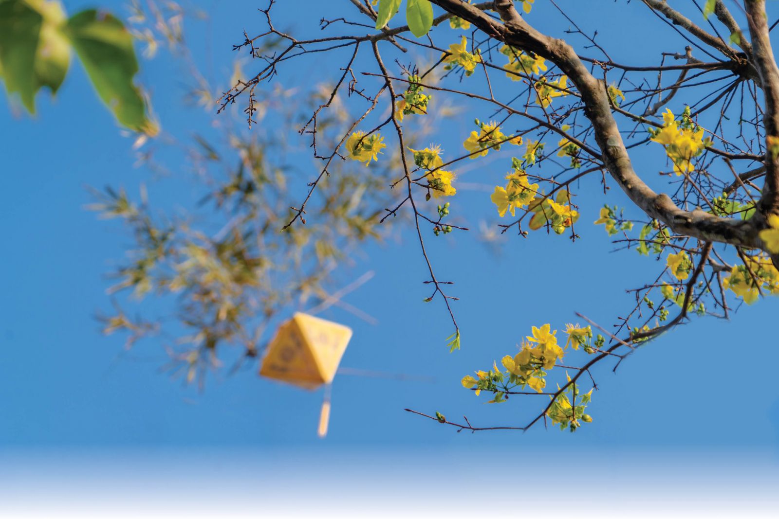 My grandma and Tet of the old days