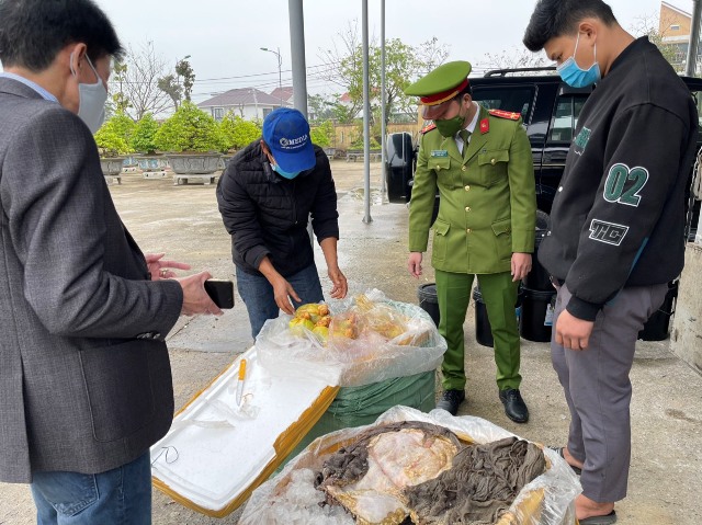 Phát hiện gần 2 tấn nội tạng bò không rõ nguồn gốc