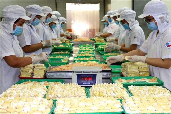 Số doanh nghiệp gia nhập và quay lại thị trường tăng 46,2