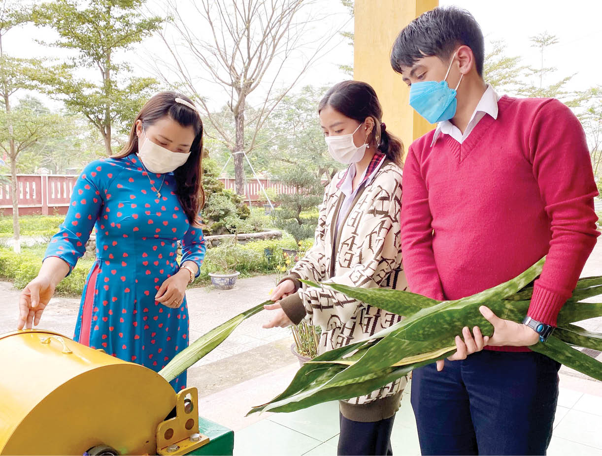 Máy tách sợi từ cây lưỡi hổ