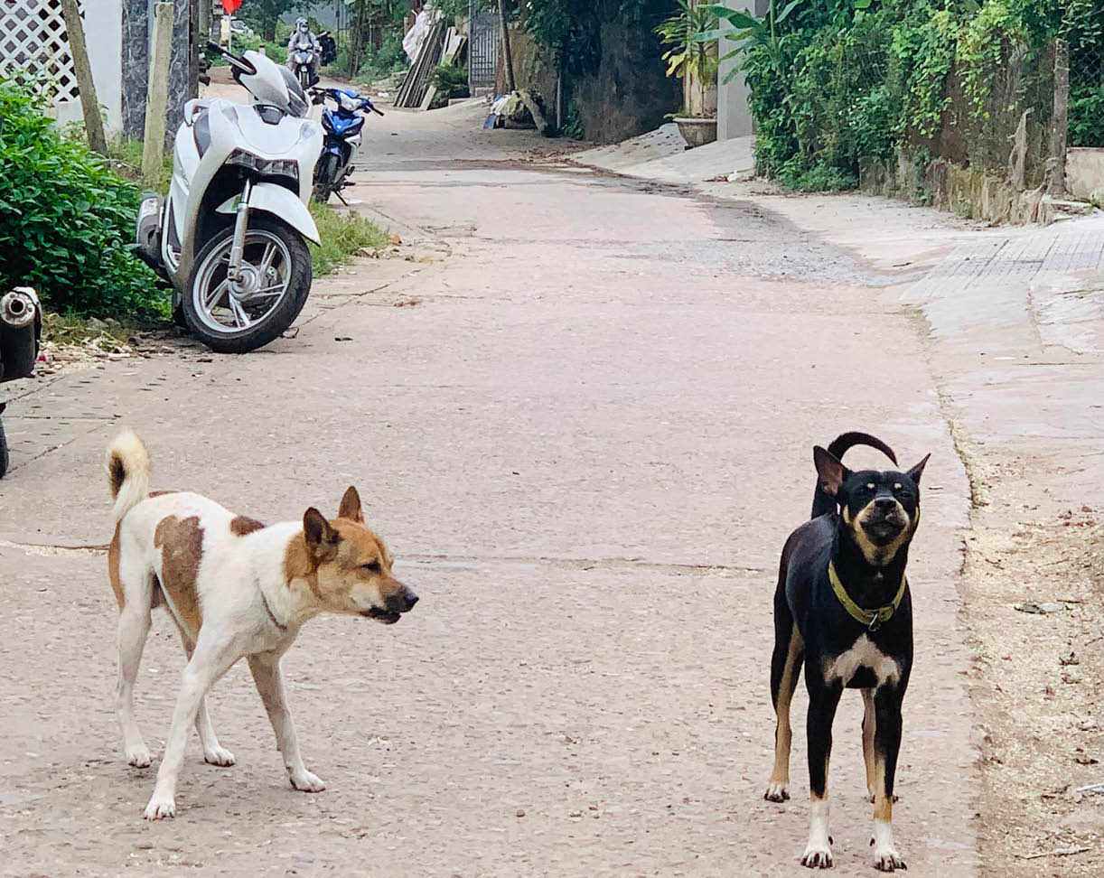 Mối nguy hiểm khôn lường