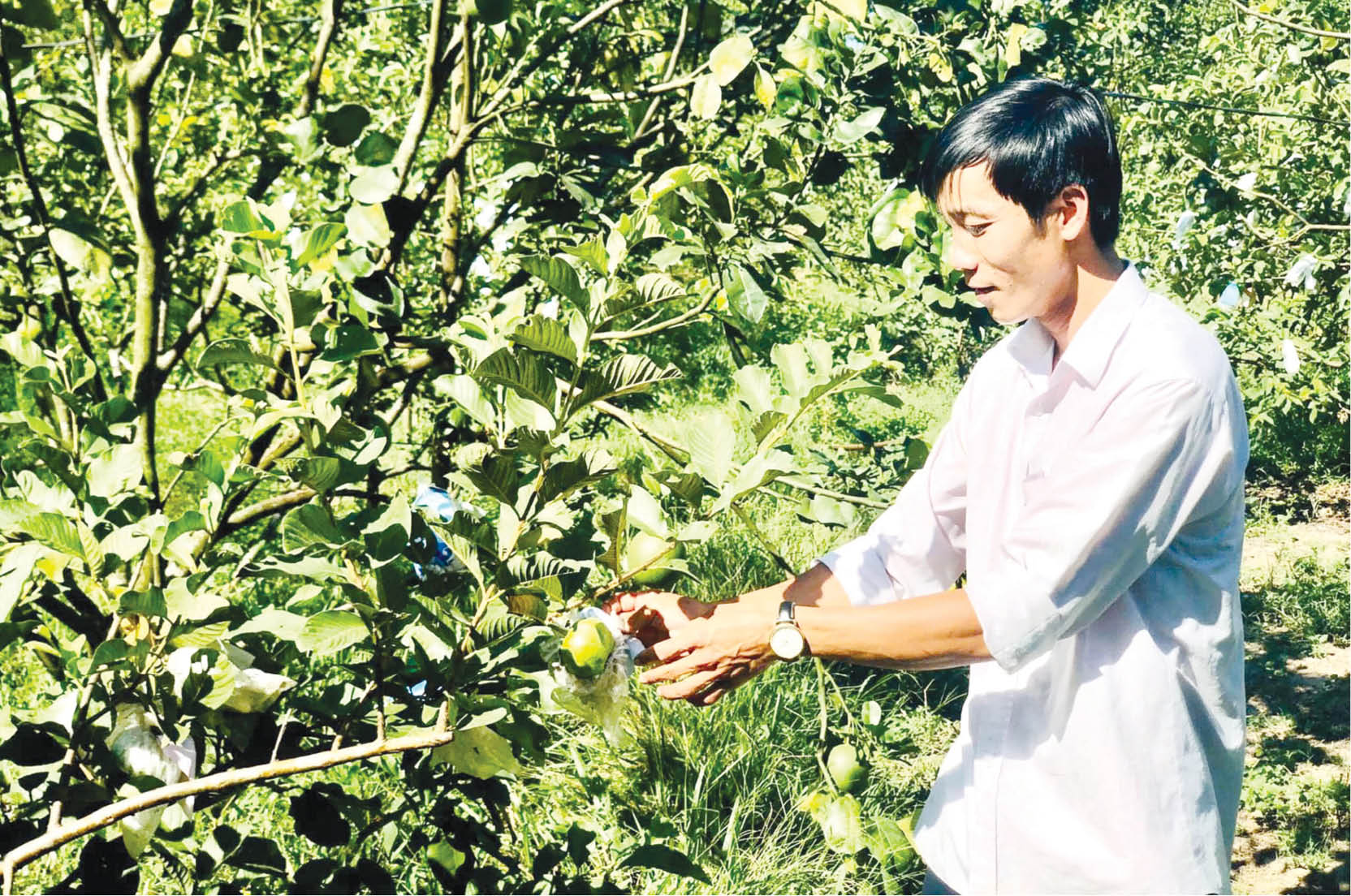 Đồng hành cùng thanh niên khởi nghiệp