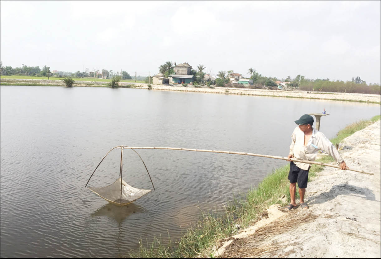 Khuyến khích nuôi thủy sản an toàn