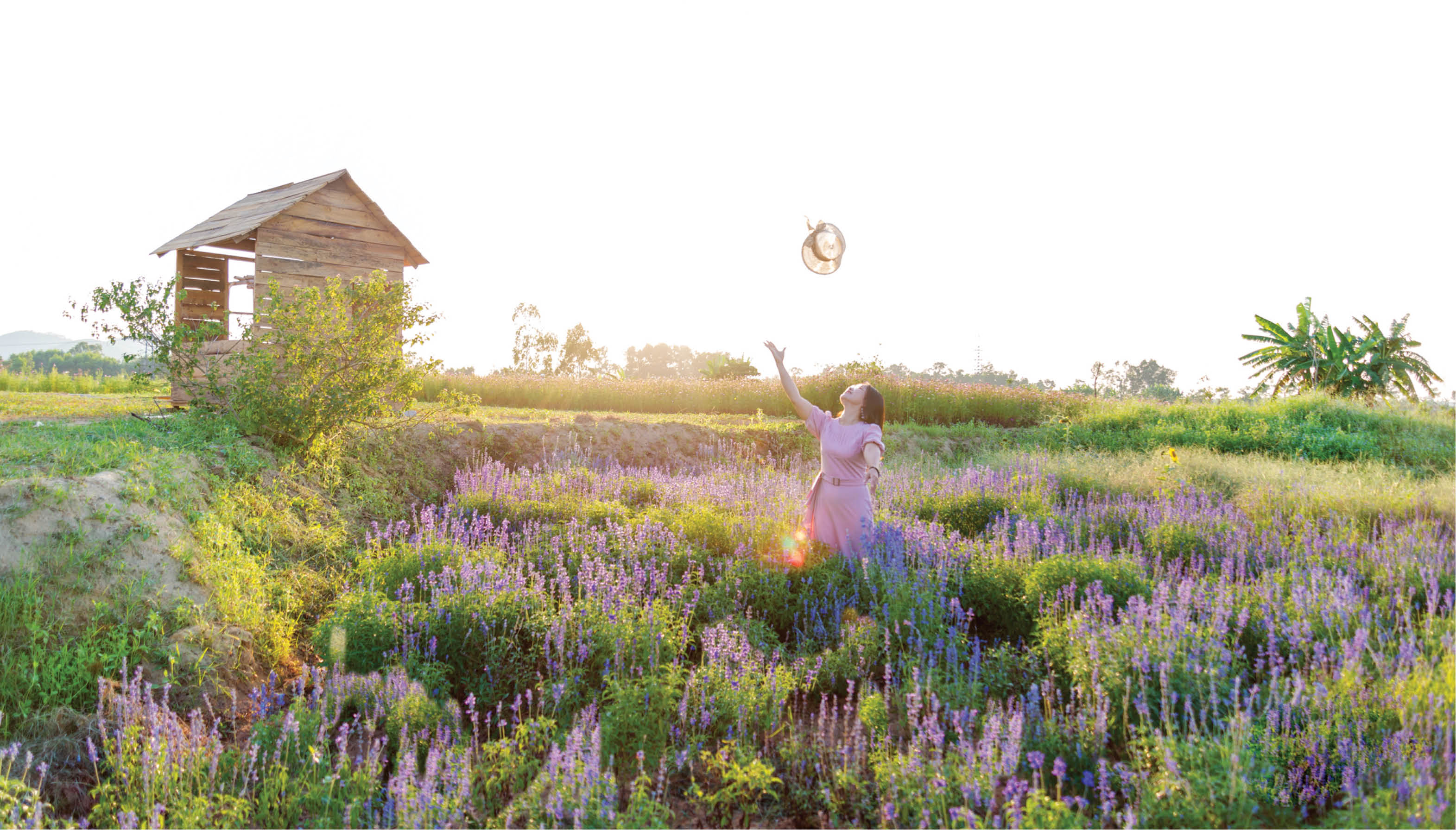 Biến đất cằn cỗi thành điểm check-in