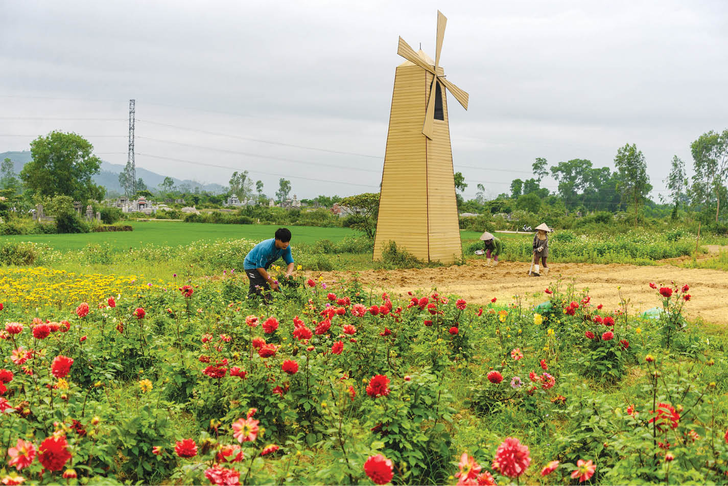 Turning barren land into check-in destinations