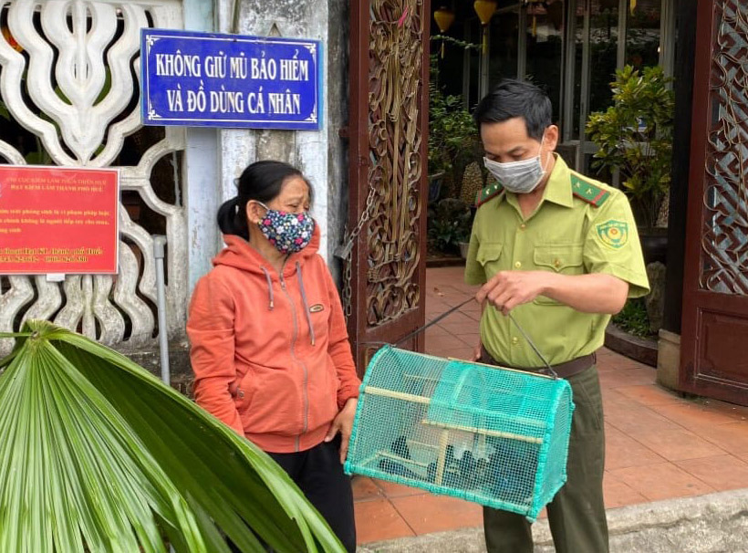 Thả 90 con chim trời về môi trường tự nhiên