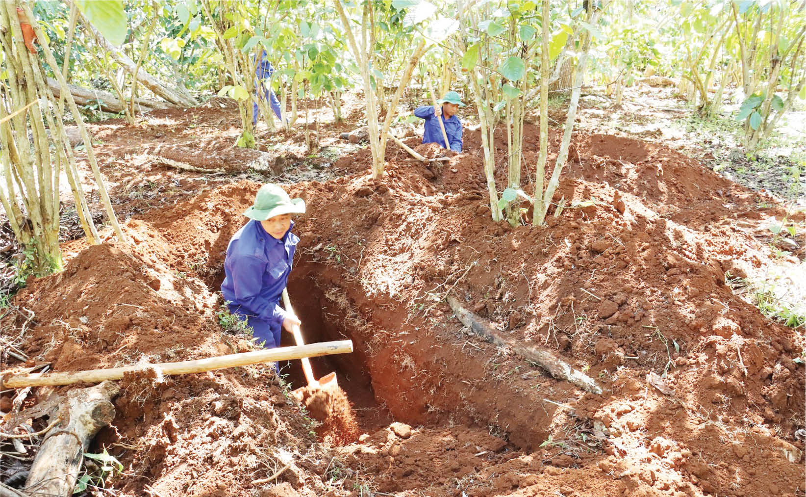 Đưa các anh về với đất mẹ