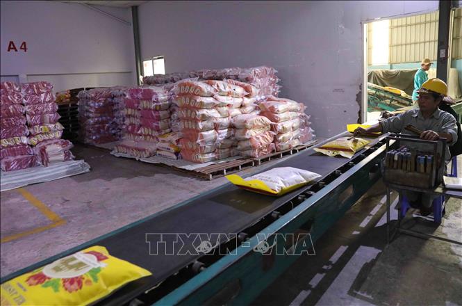 Cơ hội nhiều hơn thách thức với doanh nghiệp xuất khẩu gạo