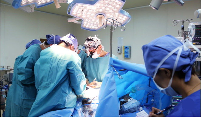 Tiềm năng của phương pháp cấy ghép nội tạng lợn biến đổi gen cho người