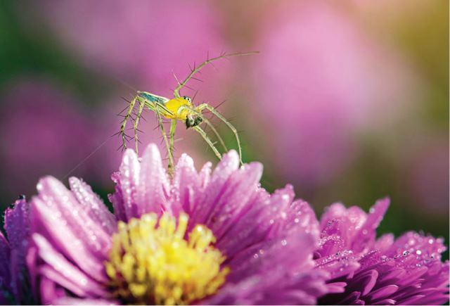 Beholding “Hue in Spring”