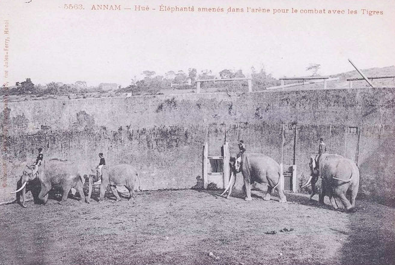 Hồi sinh di sản Hổ quyền ở Huế thời Nguyễn