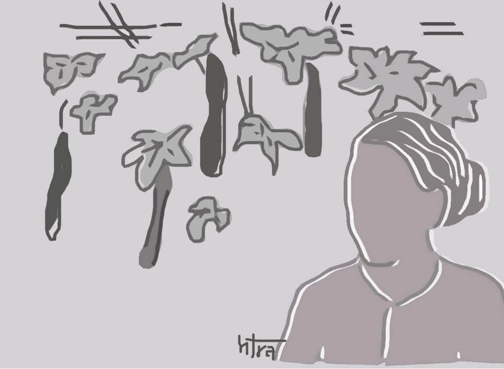 Giữa xuân su le, đầu hè mướp ngọt