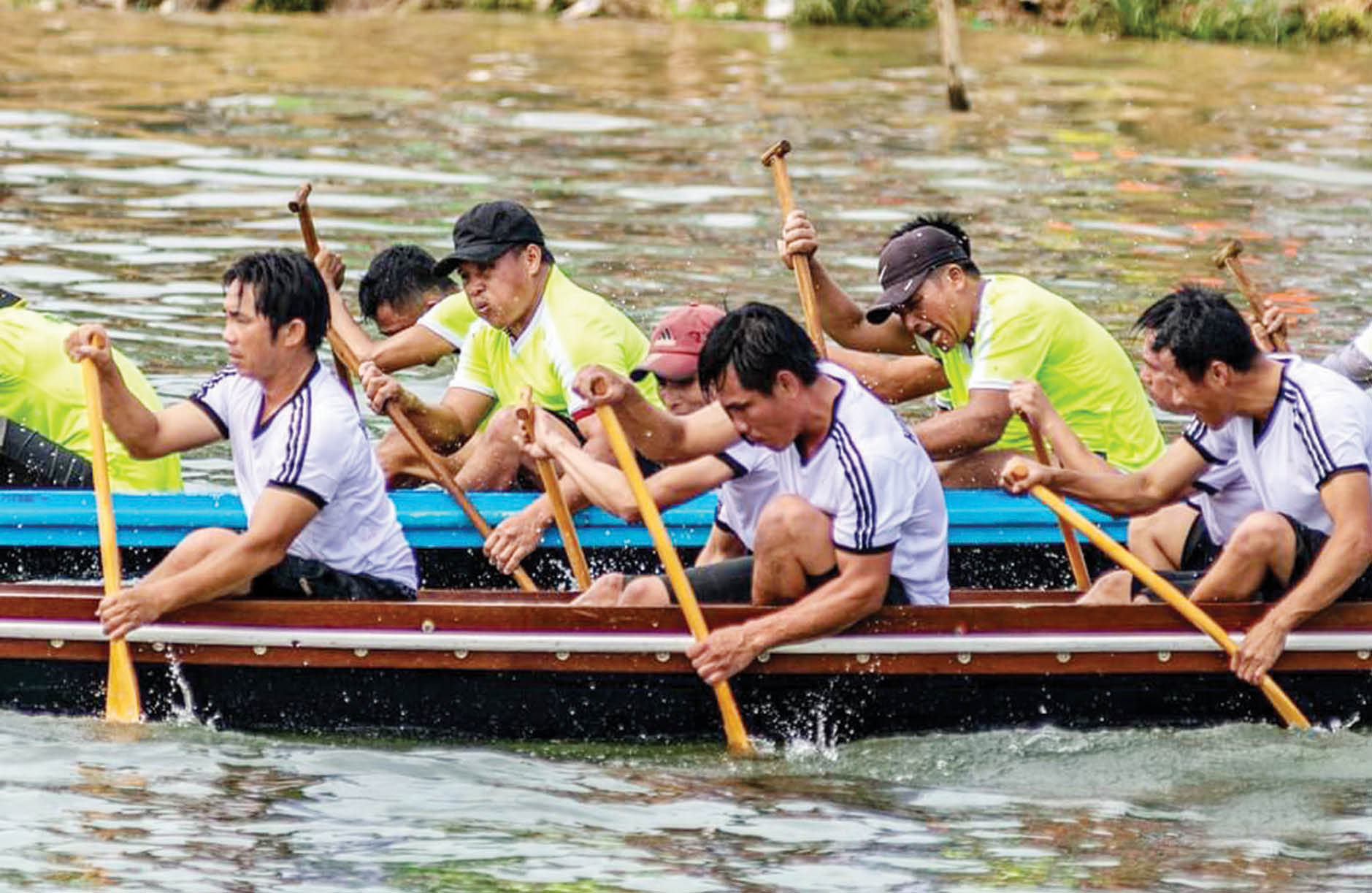 Đua bơi - một góc nhìn khác