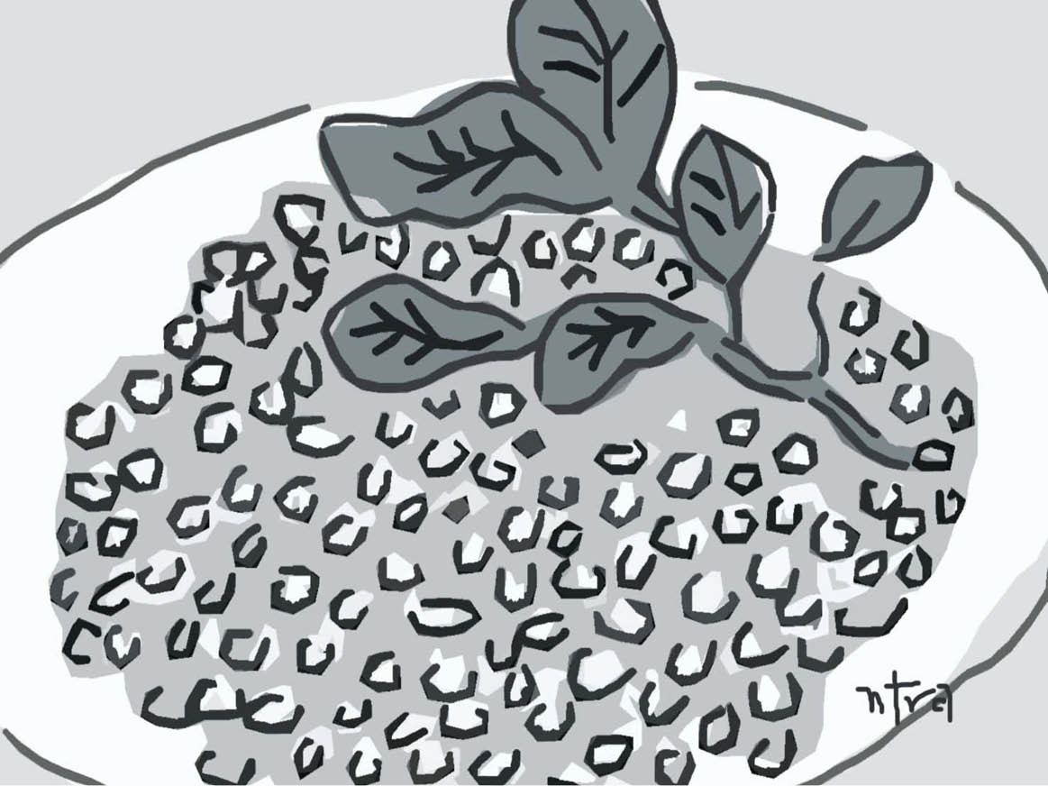 Miên man ốc chép