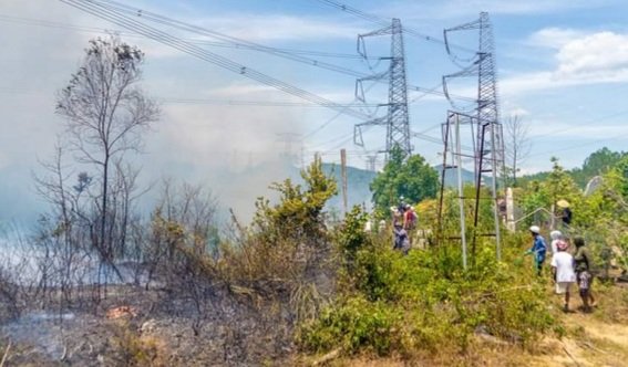 Không để xảy ra các điểm nóng phá rừng, khai thác rừng trái phép