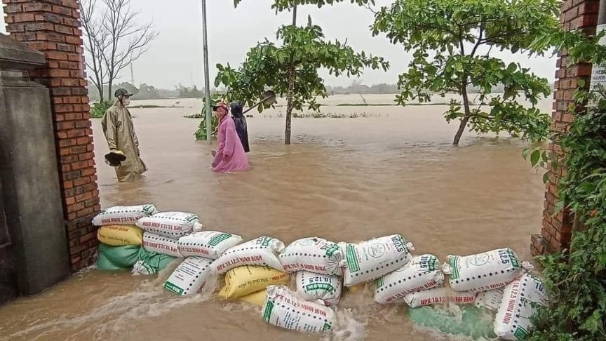 Lúa, hoa màu bị ngập; một số địa phương rà soát phương án sơ tán dân