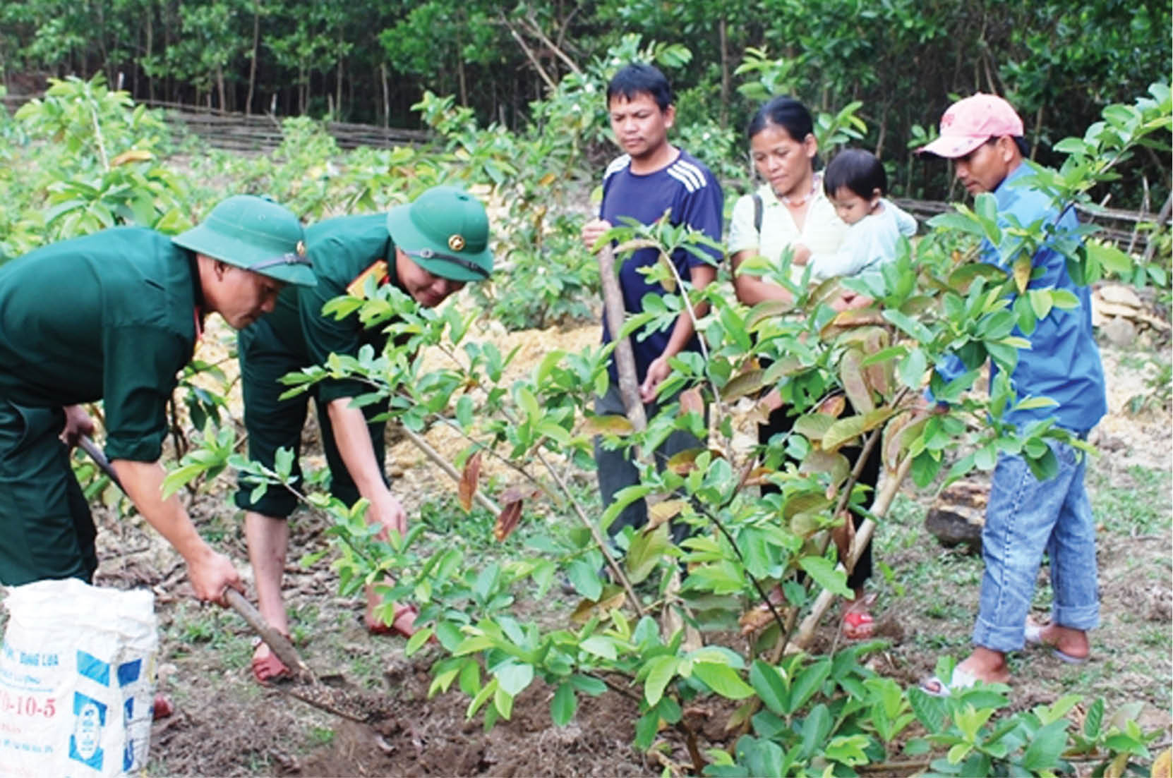 Đông Sơn, ngày càng thêm xanh