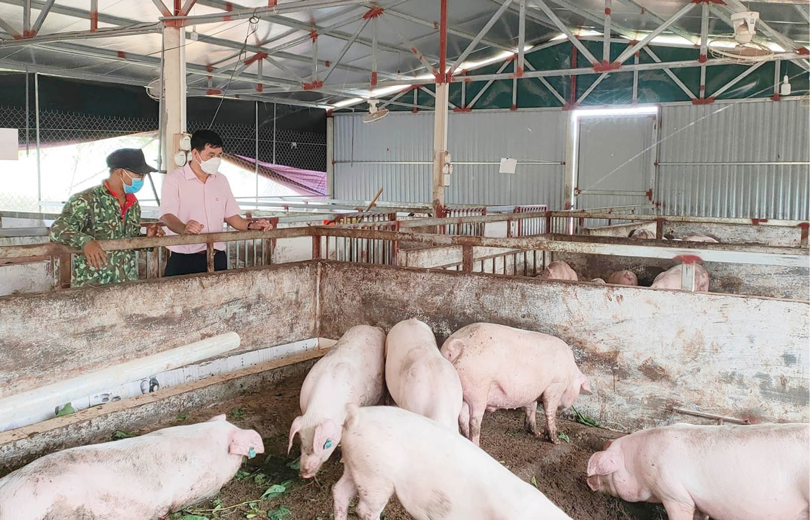 Tái cơ cấu nông nghiệp, thúc đẩy kinh tế địa phương