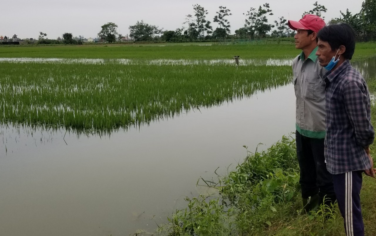 Tập trung nguồn lực triển khai tiêu úng, thoát nước nhanh