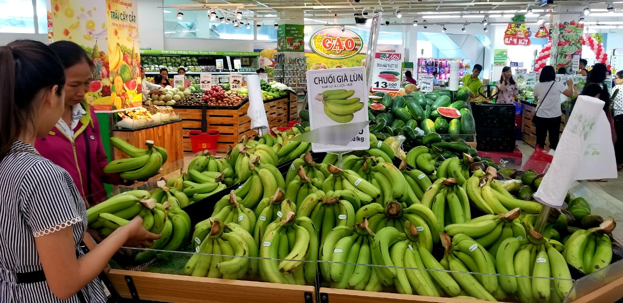 Ứng dụng tiến bộ khoa học và công nghệ vào trồng và chế biến chuối