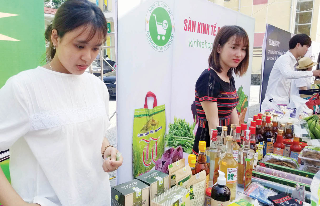 Giúp nông sản vào thị trường chính ngạch