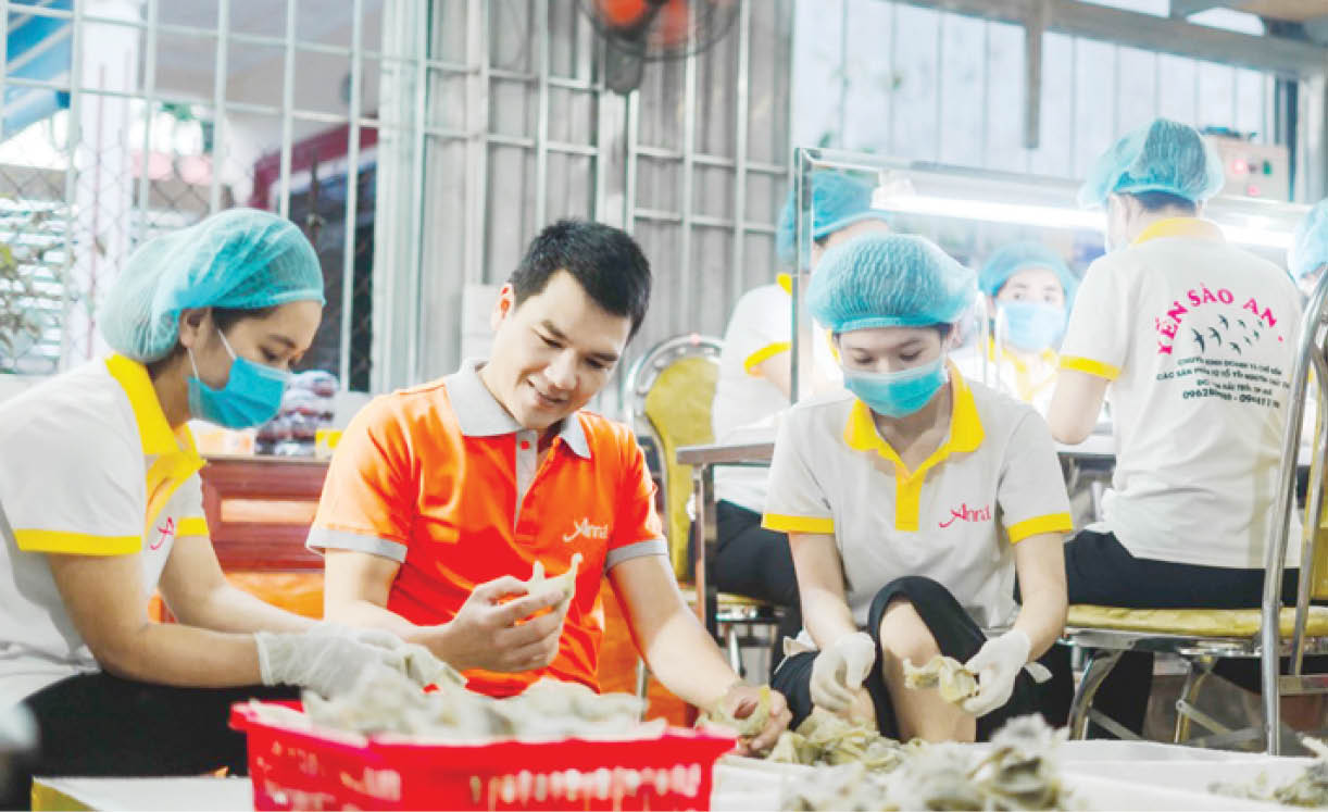 Yến sào “made in Huế”