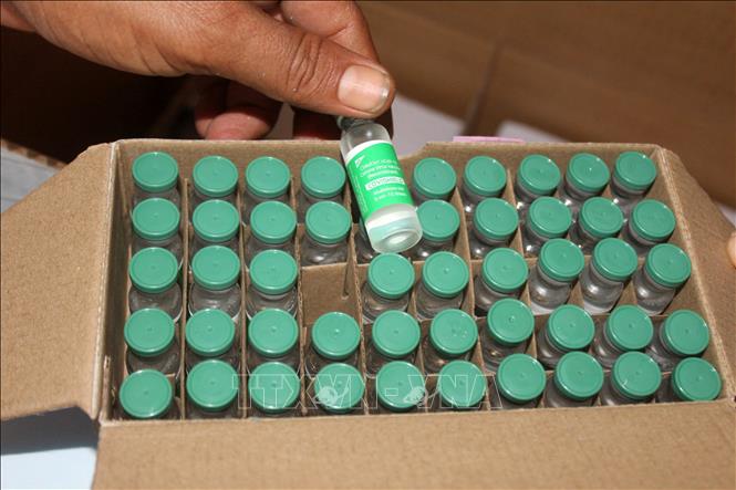 Ấn Độ mở rộng tiêm mũi tăng cường, giá vaccine được cắt giảm