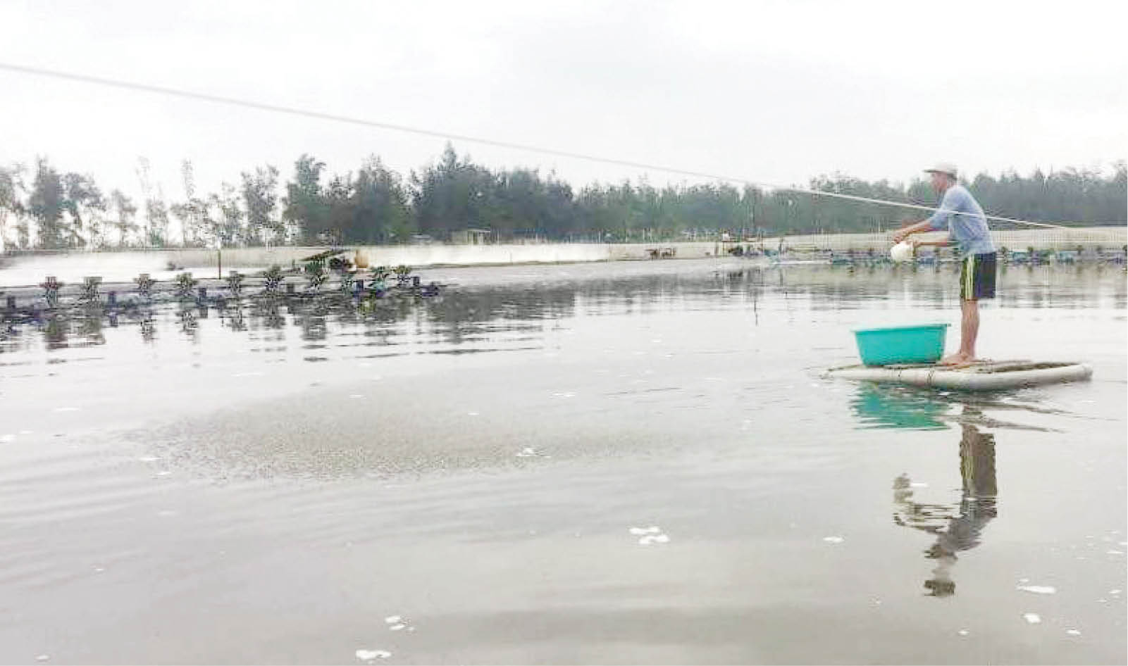 Nuôi tôm trên cát thiếu an toàn