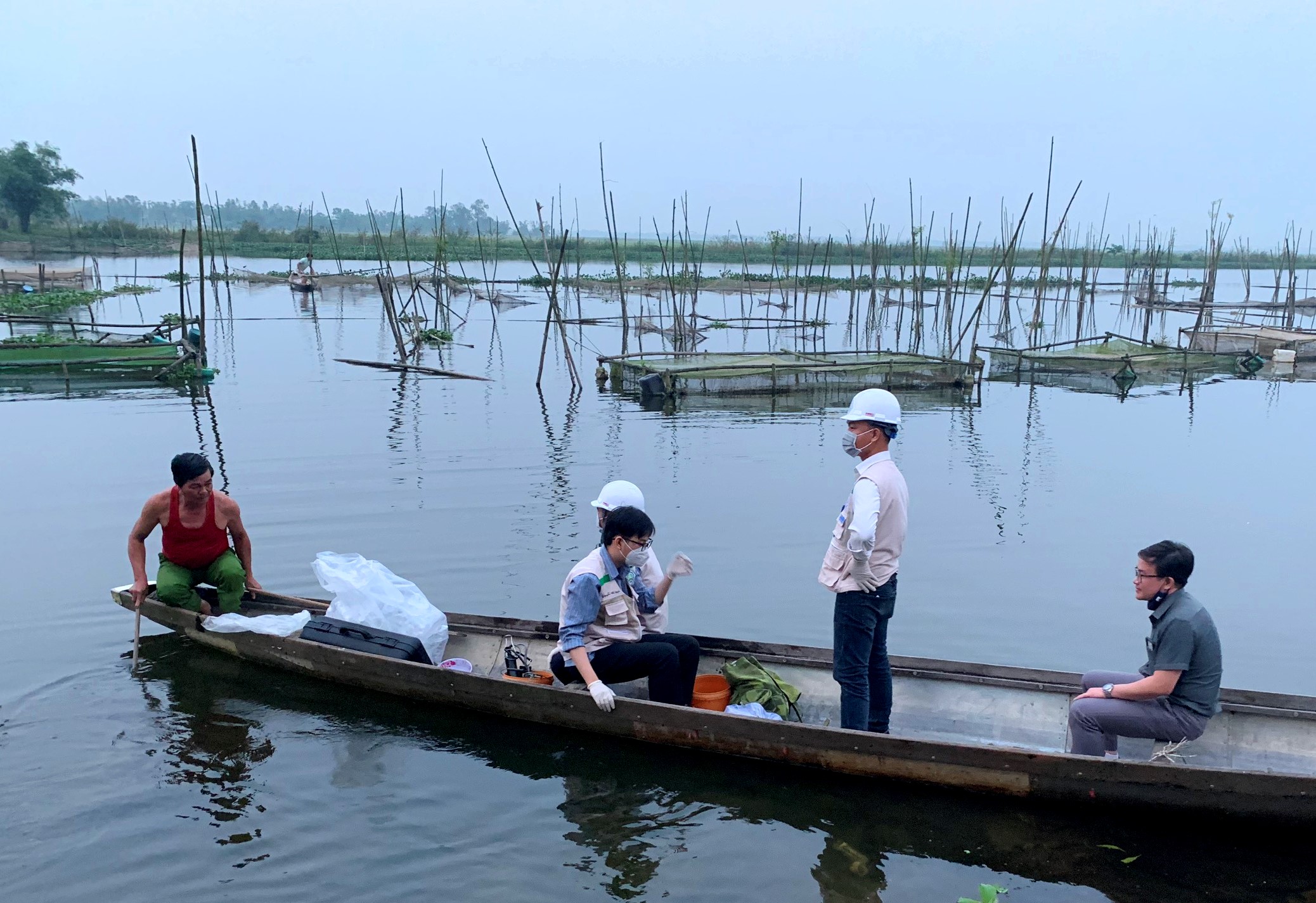Hương Thủy Cá lồng lại chết hàng loạt