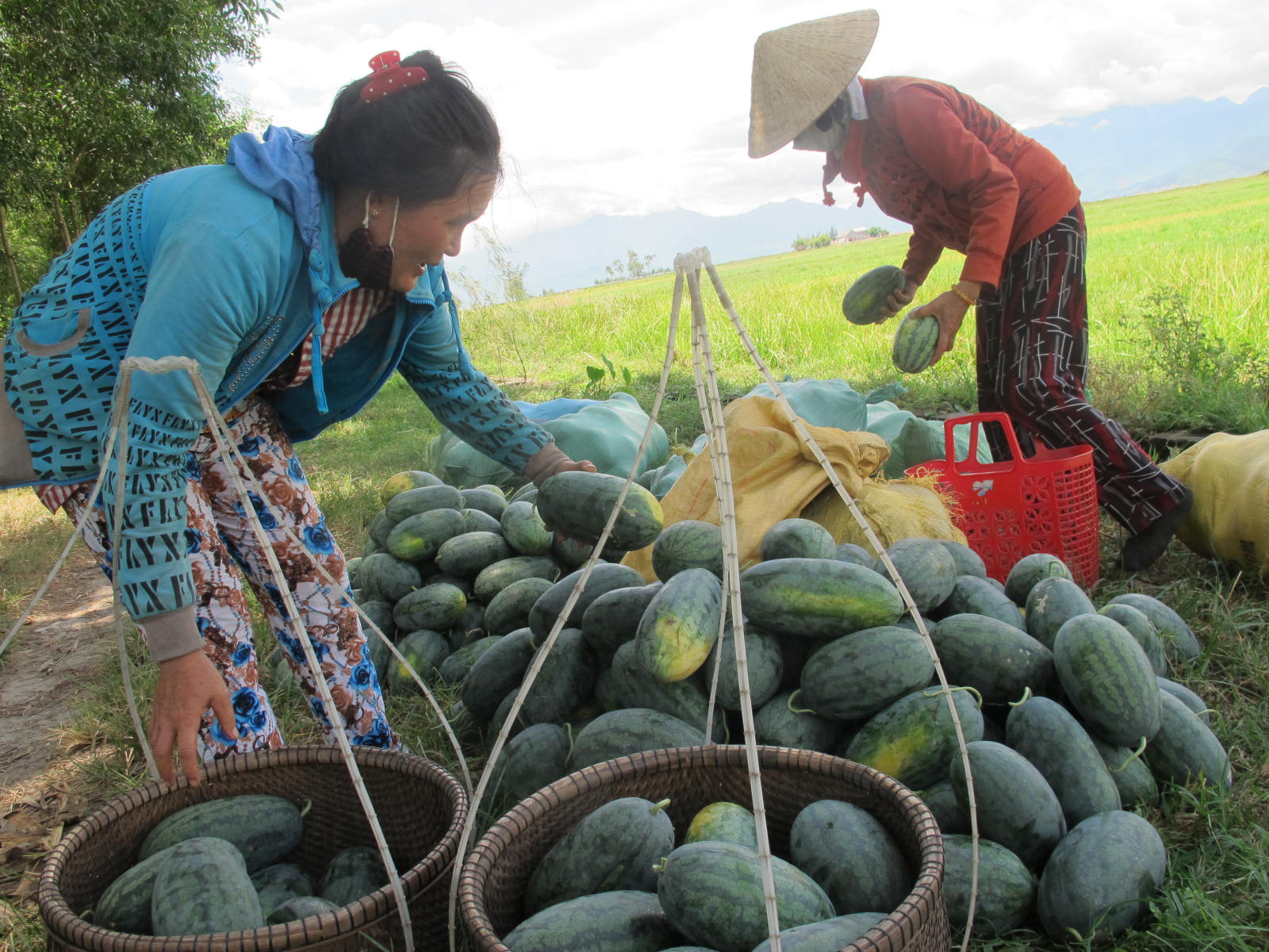 Giảm nghèo theo địa chỉ gắn với mô hình sinh kế