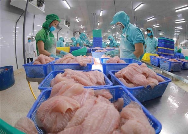 Bài học cho doanh nghiệp Việt Cẩn trọng trong giao dịch quốc tế