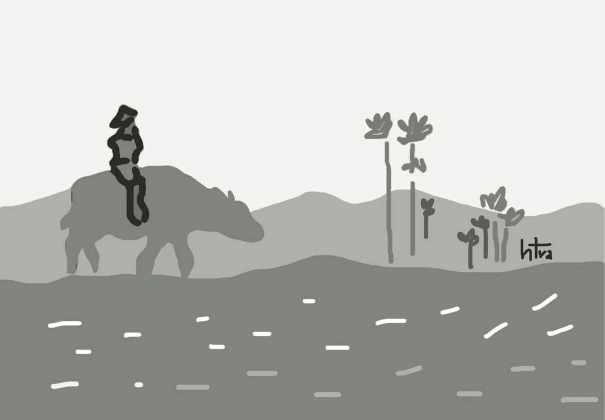 Lao xao đồng chiều