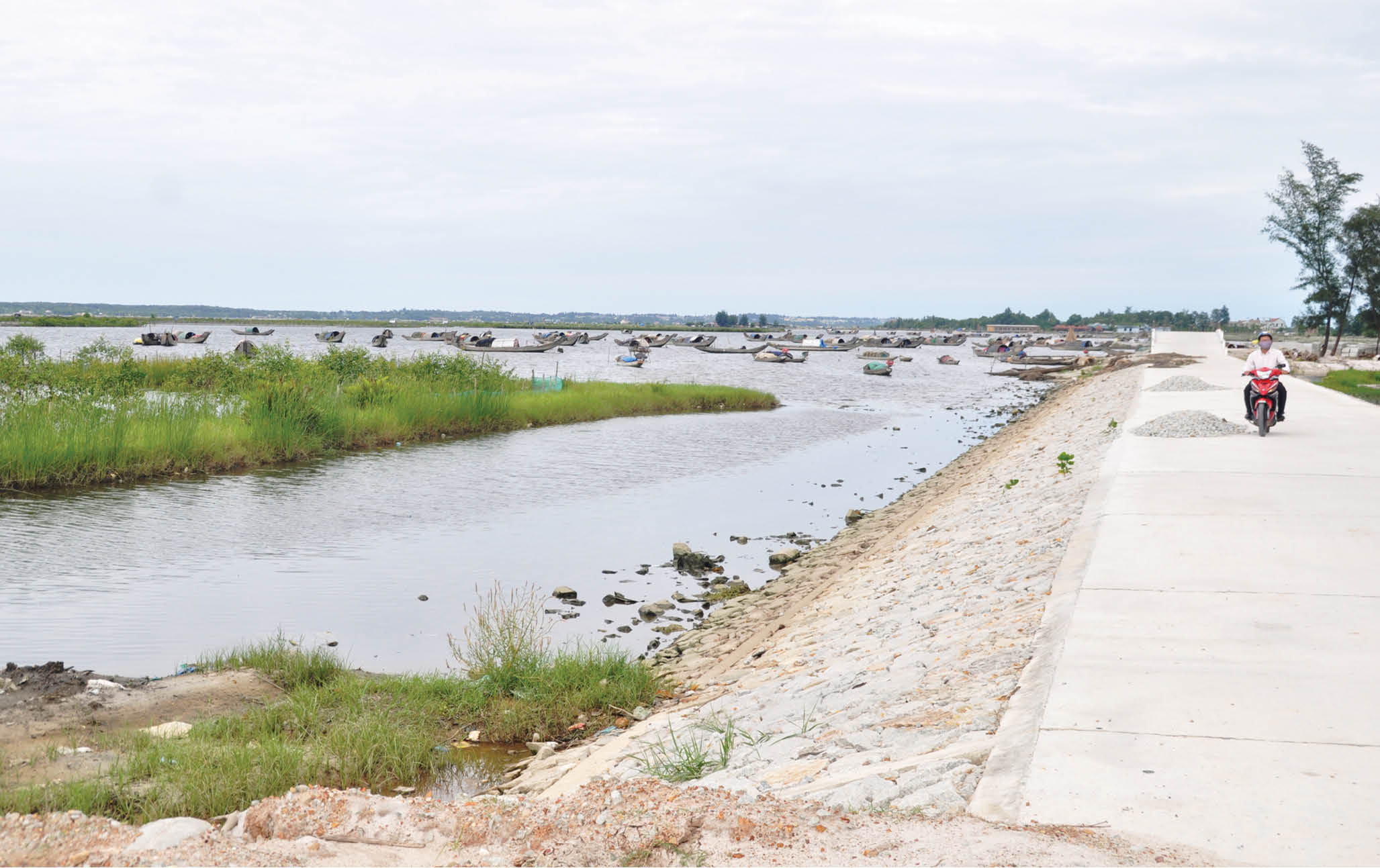 Nâng cấp đê ven đầm phá phục vụ sản xuất