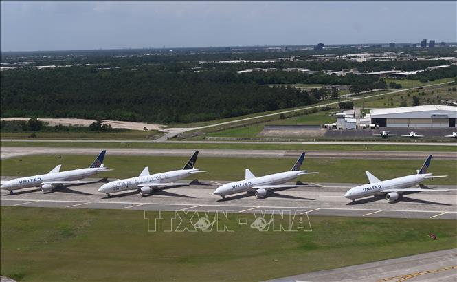 United Airlines dự báo doanh thu kỷ lục nhờ nhu cầu đi lại bùng nổ