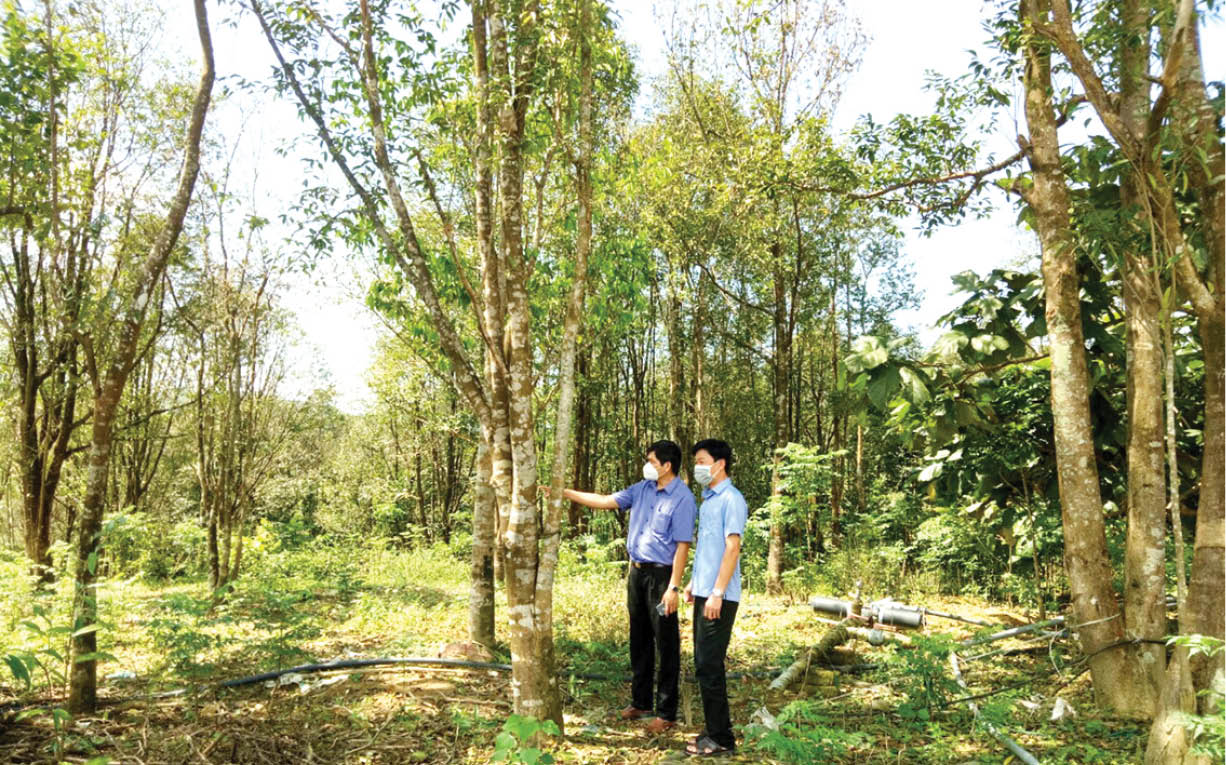 Giúp nông dân làm giàu