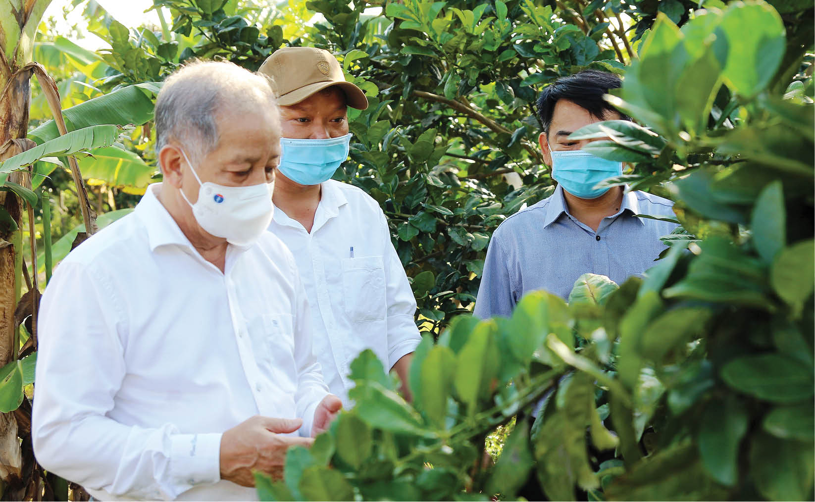 Ngày mới trên quê hương Đại tướng Nguyễn Chí Thanh