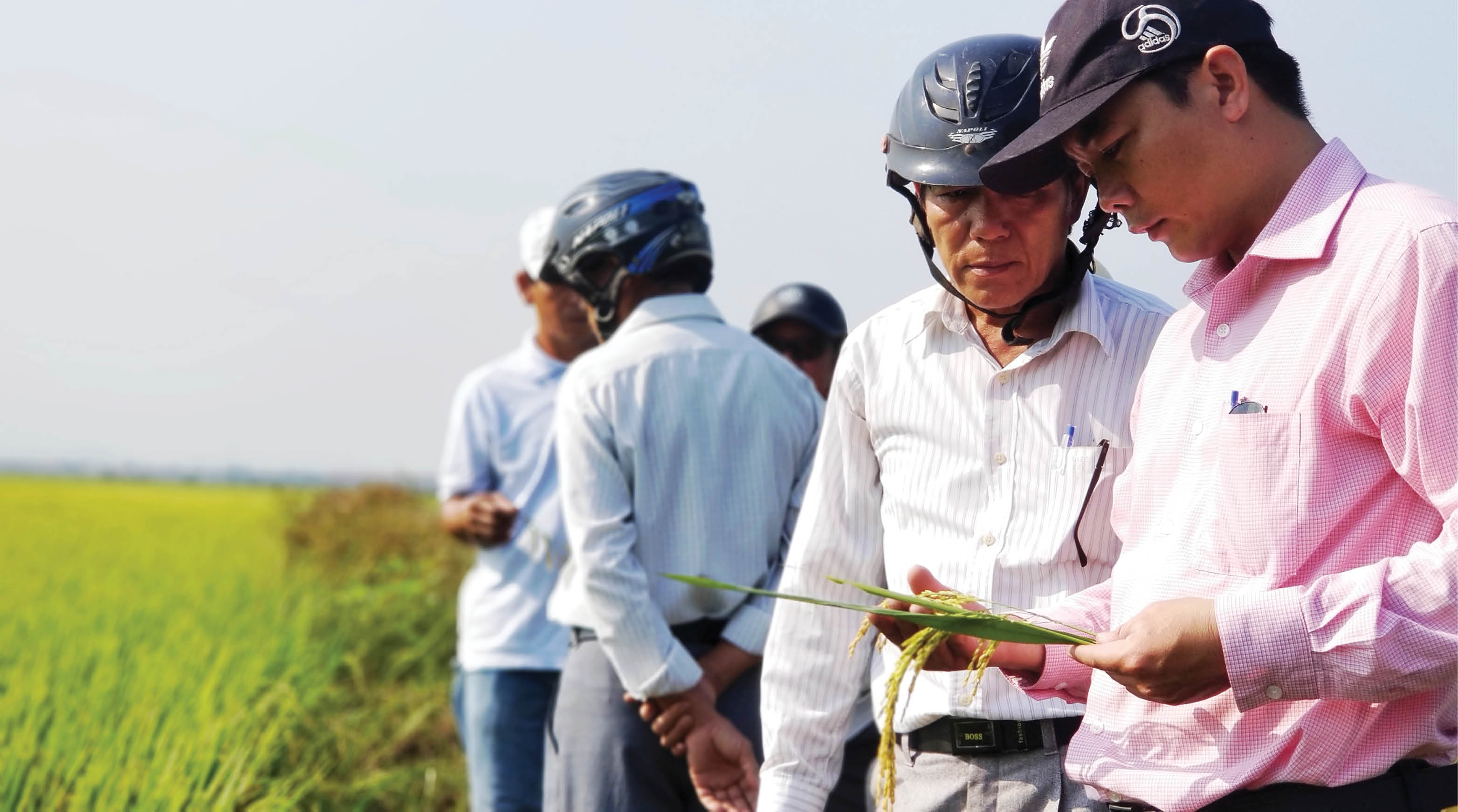 Hướng đến giá trị bền vững cho sản phẩm nông nghiệp