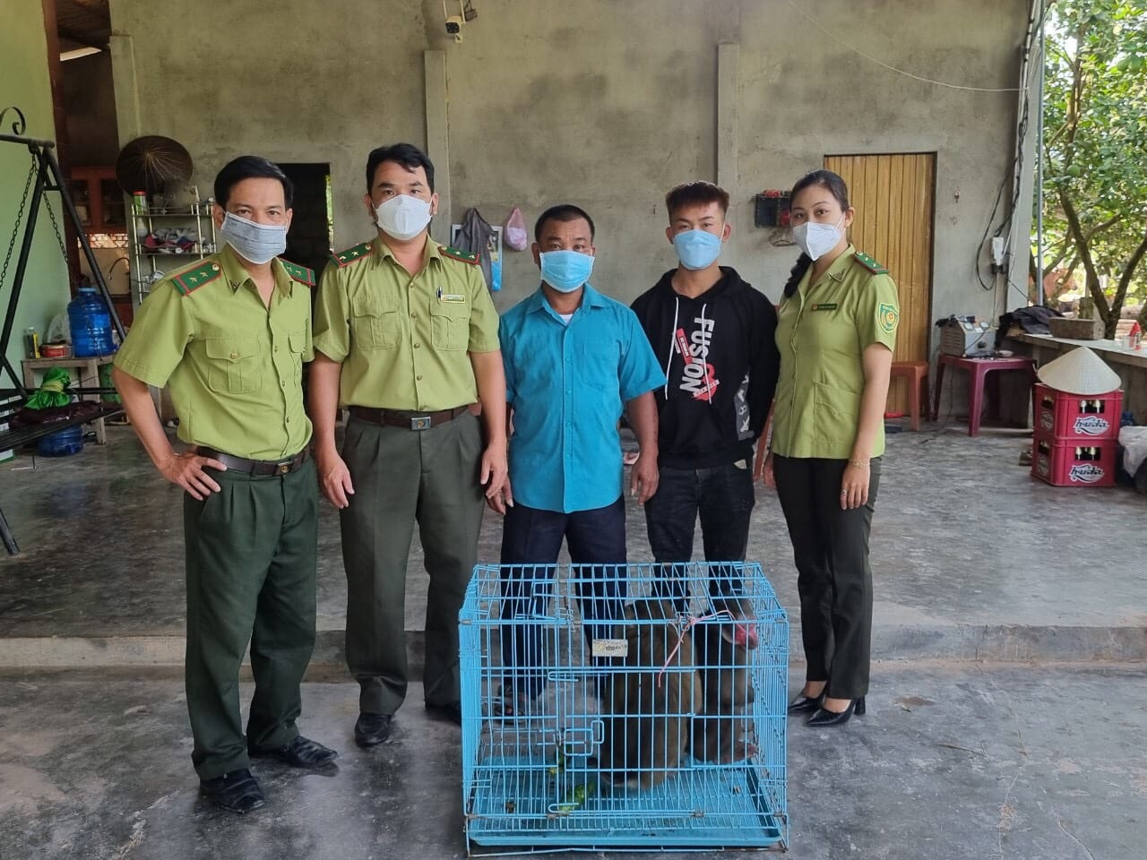 Cứu hộ động vật quý hiếm qua đường dây nóng