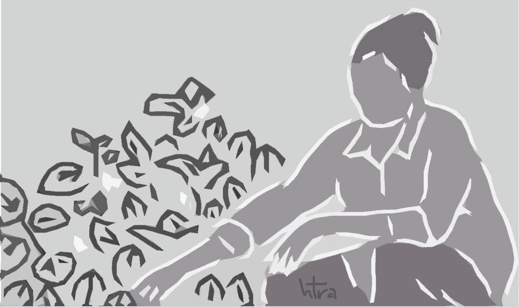 Rau trái vườn xưa