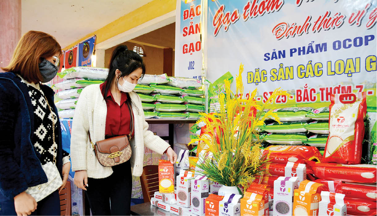 Nâng tầm “gạo thơm Thủy Thanh”