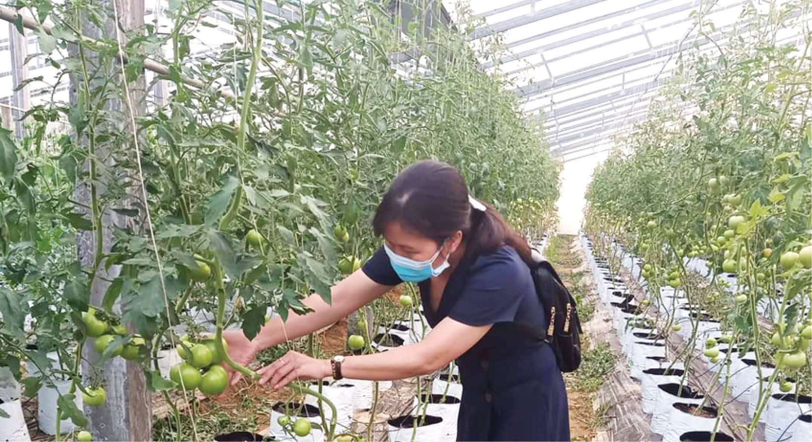 Nông nghiệp đang đi đúng hướng