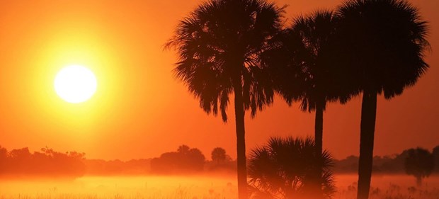 Thế giới đang tiến gần hơn đến ngưỡng tăng nhiệt độ 1,5 độ C