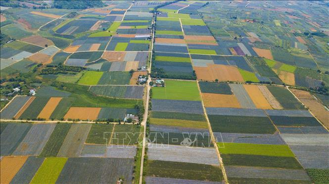 Nhiều đề xuất tâm huyết về xây dựng Đảng và phát triển nông thôn