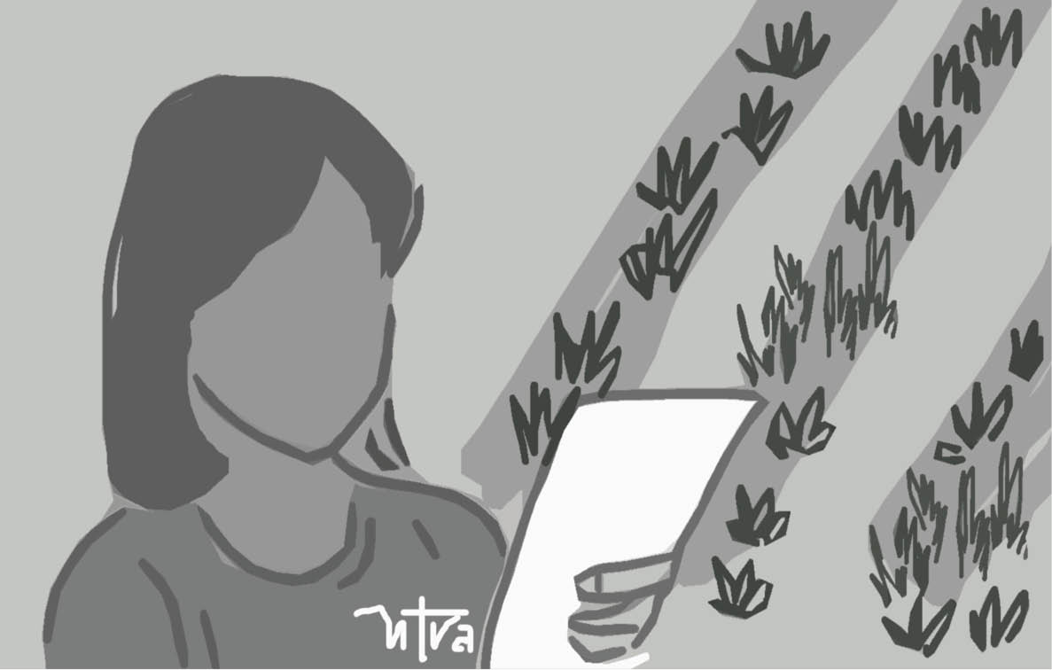 Khu vườn xanh tươi