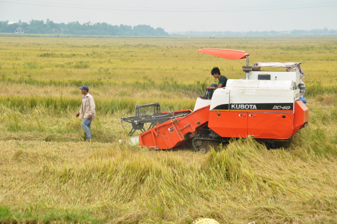 Một người tử vong do sét đánh
