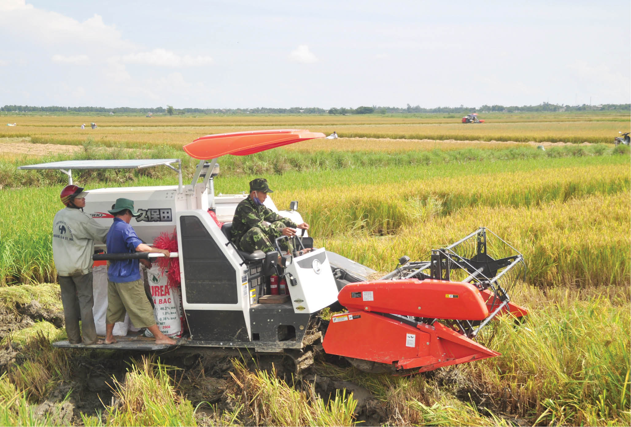 Thu hoạch lúa, đề phòng dông sét
